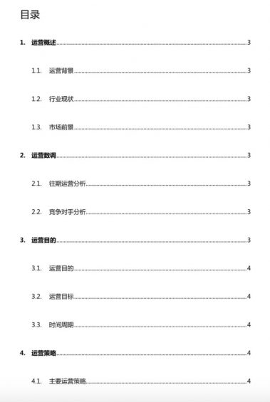 完整的运营方案大纲+解释(仅供参考) a315 完整的运营方案大纲+解释(仅供参考)