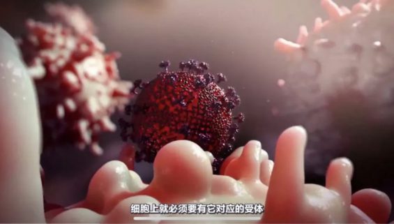 a337 一个科普视频涨粉320万，连央视都转发是怎么做到的？