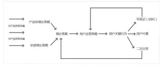 a930 得到App的运营体系拆解
