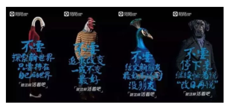 q 15 90%的营销文案都会用这2方向打动用户！