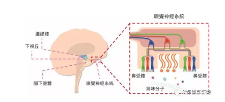 1 220 效果甚好！这种看不见、摸不着营销手段，你会么？