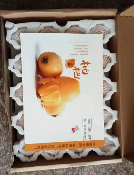 1 5119 我在家乡卖枇杷
