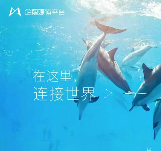 5.webp 54 在四大自媒体平台发稿，谁家收益最高？