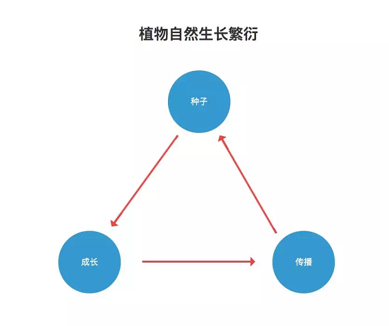 686dcbb2c73e808a0818861adb9ec8b 种一棵树，与做一个产品，有多少相同之处？