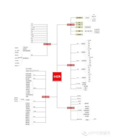 1104 小红书从用户画像到社区运营怎么做的？模板在这儿！