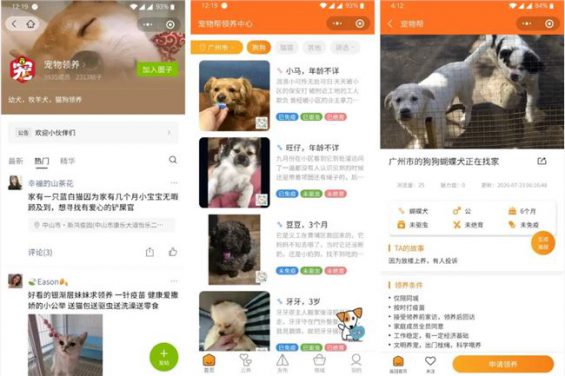 504  5个直接引流变现的小生意，要不咱也搞一下子？