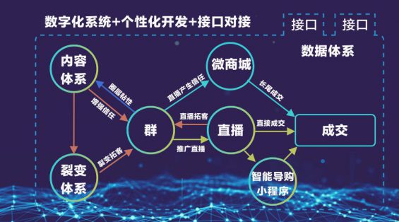 25 不同的私域流量背后，运营体系如何设计
