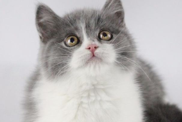 快手视频资源哪里找的?快手电影资源寻找方法介绍-电商之家