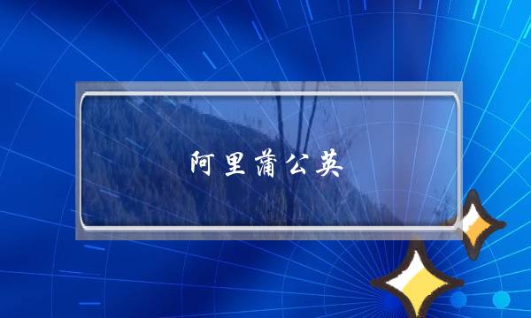 阿里蒲公英(野生蒲公英)-电商之家