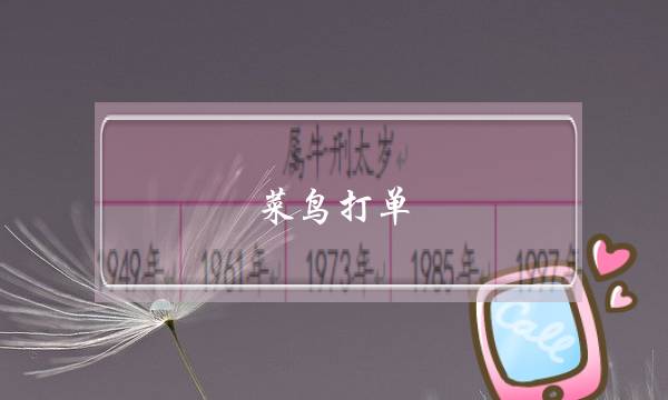 菜鸟打单(菜鸟打单手机版)-电商之家