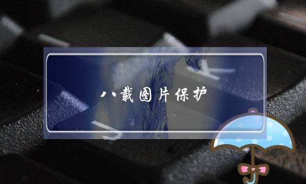 八载图片保护(八载图片保护怎么破解)-电商之家