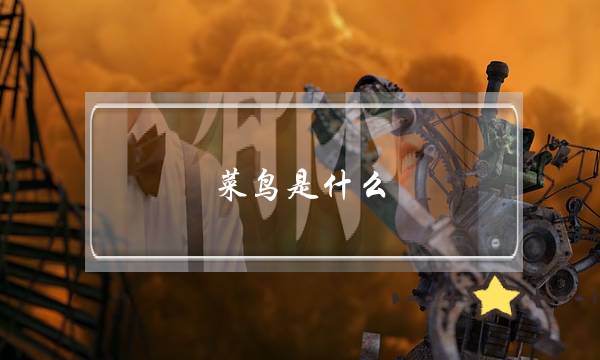 菜鸟是什么(菜鸟是什么公司)-电商之家