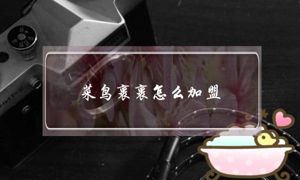 菜鸟裹裹怎么加盟(菜鸟裹裹加盟条件及费用)-电商之家