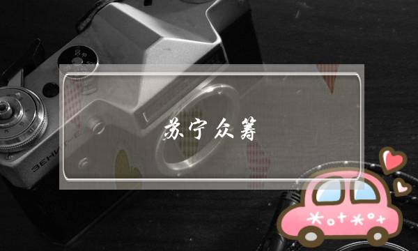 苏宁众筹(苏宁众筹申请步骤)-电商之家