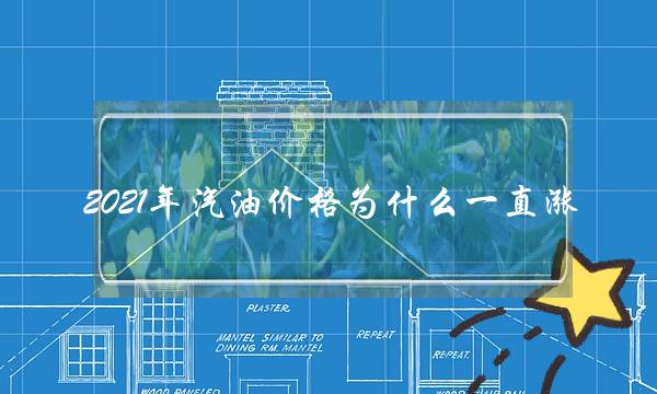 2021年汽油价格为什么一直涨-电商之家